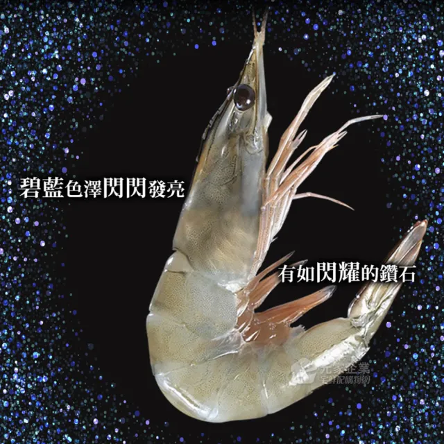 【元家】五星級藍鑽蝦特大2盒組(30/40規格 1kg/盒)