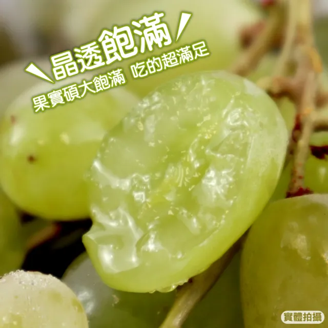 【WANG 蔬果】美國無籽綠葡萄500gx3盒(空運直送.無籽葡萄.進口水果)