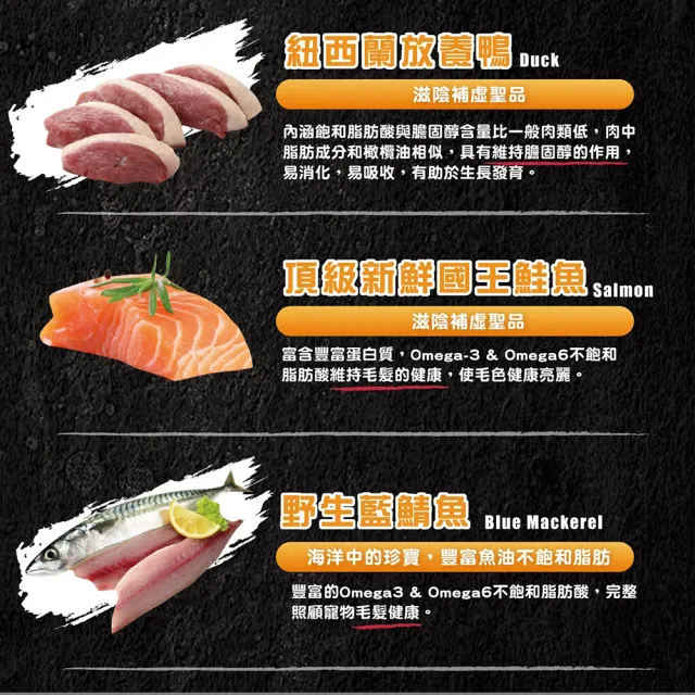 【ABSOLUTE HOLISTIC 超越巔峰】犬用鮮肉主食肉片1kg(寵物零食/狗肉乾/狗零食/狗肉片/生食肉片)