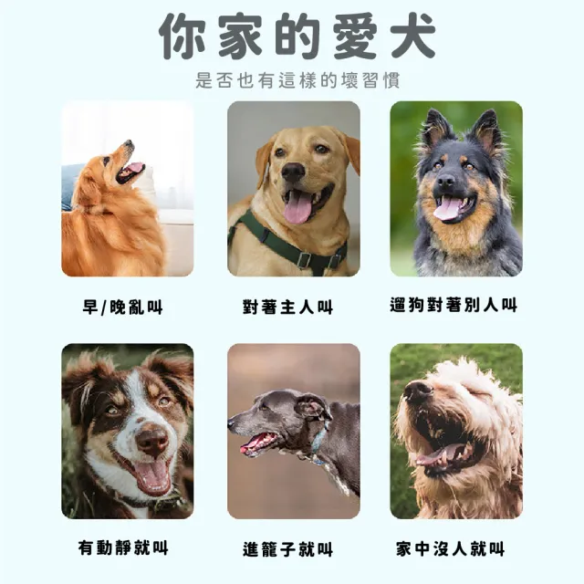 【防禦專家】充電型3檔調節超音波驅狗器(外出安全 趕狗止吠器 手電筒 照明 驅動物神器 驅蛇貓鳥器)