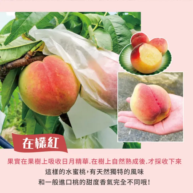 【初品果】拉拉山水蜜桃禮盒10顆x4盒(水蜜桃1200g_五月桃_媽媽桃_產地直送_季節限定_禮盒)