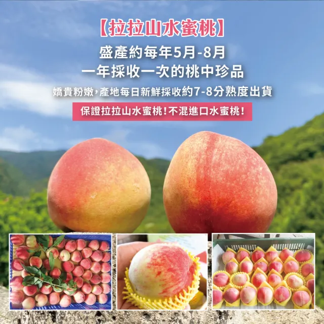 【初品果】超大顆拉拉山水蜜桃禮盒6顆x1盒(水蜜桃1200g_五月桃_媽媽桃_產地直送_季節限定_禮盒)