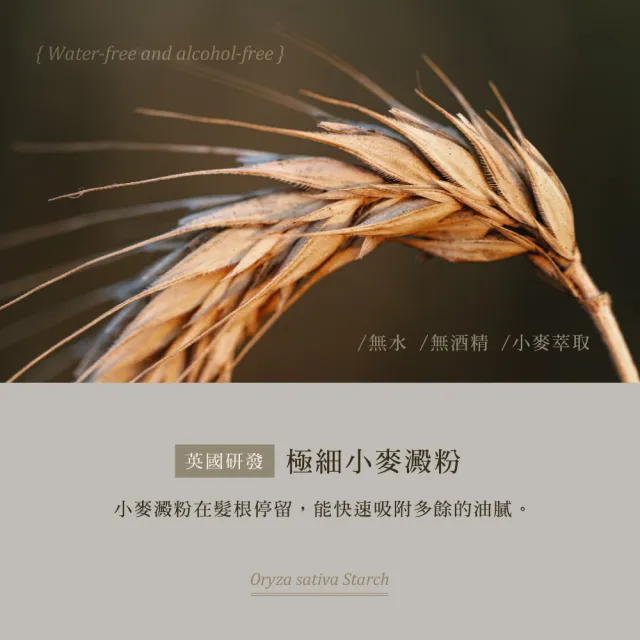 【KAFEN 卡氛_官方直營】乾洗髮霧 -N°5無人之境系列 300mlX2入(2入組 新品上市 蓬鬆乾洗髮 油頭救星)