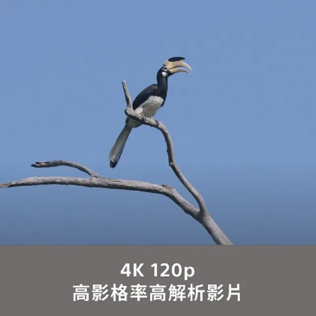 【SONY 索尼】APS-C 數位相機 ILCE-6700 A6700 單機身(公司貨 保固18+6個月)