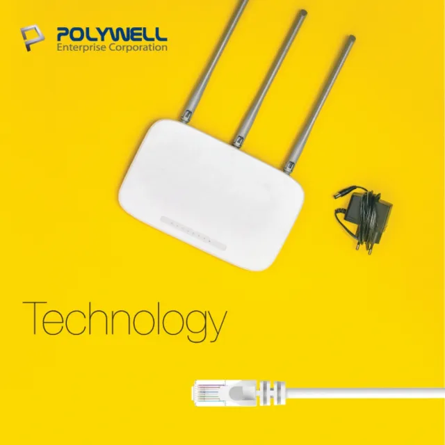 【POLYWELL】CAT6 網路線 /5M