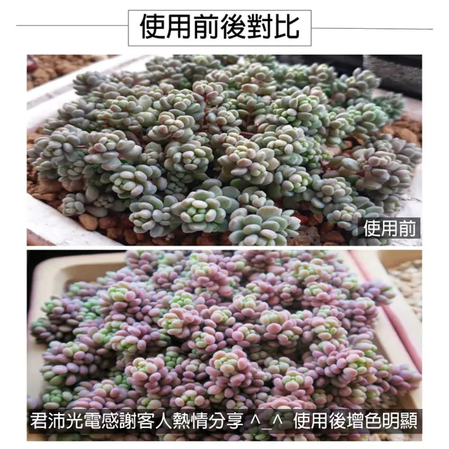 【JIUNPEY 君沛】3入組 T8 4呎 25W 全光譜一體式植物燈管(植物生長燈)