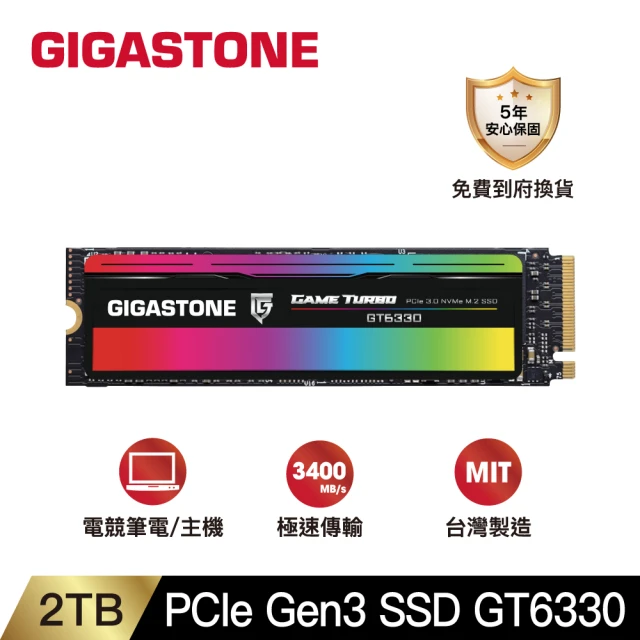 Gigastone 立達國際 GT6330 1TB PCIe