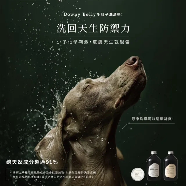 【Downy Belly 毛肚子】寵物洗毛精 保濕天然低敏洗毛精 500ml(狗狗洗毛精 貓咪洗毛精 寵物沐浴乳 皮毛保養)