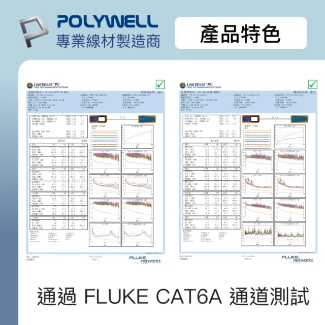【POLYWELL】CAT6A 高速乙太網路線 S/FTP 10Gbps /30M