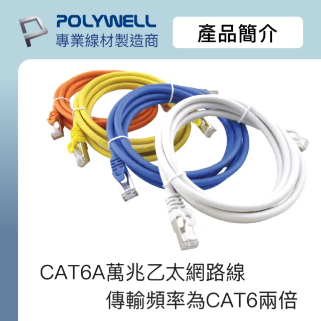 【POLYWELL】CAT6A 高速乙太網路線 S/FTP 10Gbps /1M