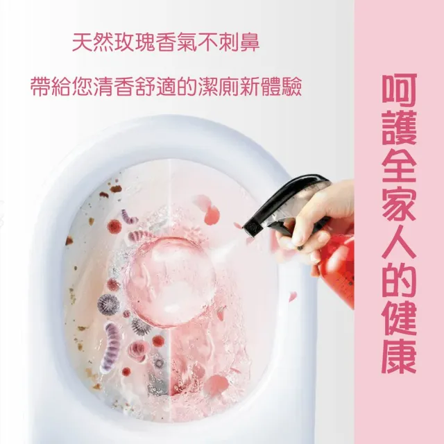 【玫煩惱】日本玫瑰潔廁劑 超值2入組(清新花香不刺鼻 清潔劑 馬桶清潔劑 浴室清潔劑 廁所清潔劑)