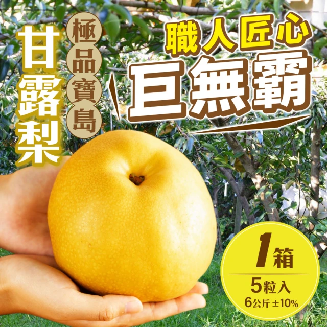 雪莉朵辣 苗栗甘露梨五粒裝/箱(6公斤±10% x1箱)