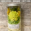 【A-ONE 匯旺】迷你花罐 通心草索拉花 永生花 粉橘玫瑰 繡球花 乾燥花 教師節花瓶禮