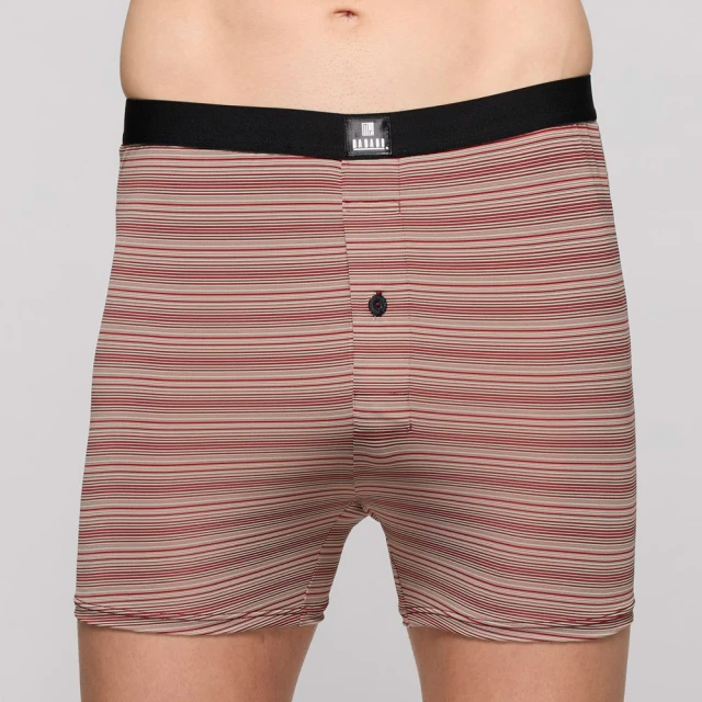 Mr. DADADO 歡樂萬聖 M-3L印花四角男內褲 天然