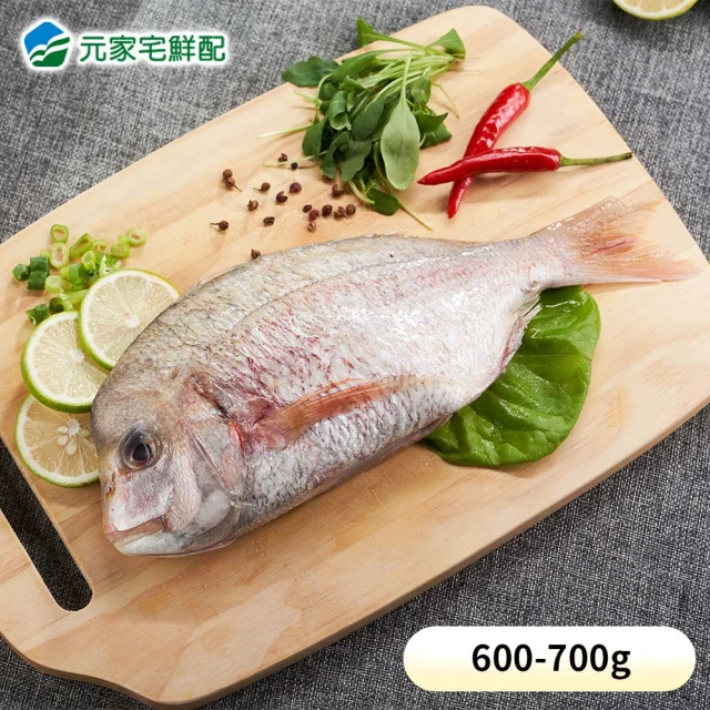 巧莊園 嚴選野生白帶魚片/白帶魚/純淨海域白帶魚(1kg)品