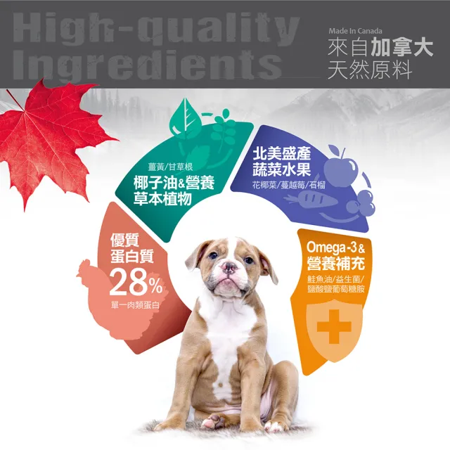 【Nutrience 紐崔斯】INFUSION天然貓寵糧系列-2.27kg(幼貓、成貓、全齡貓飼料、添加益生菌、WDJ、體重控制)