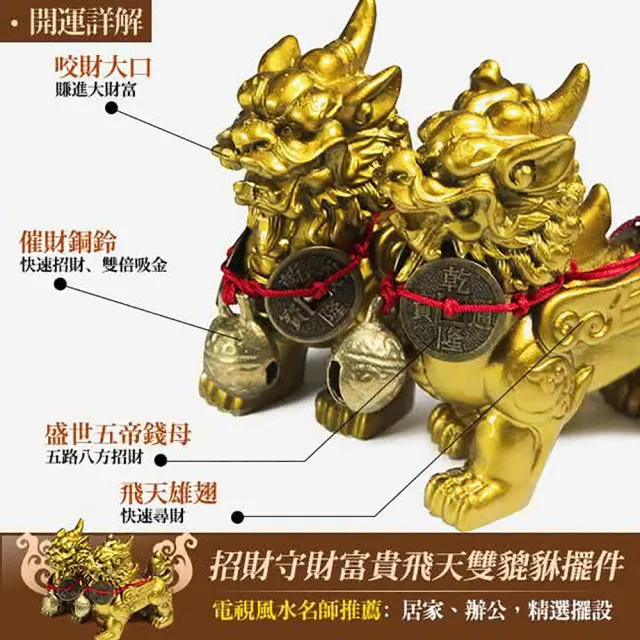 【開運億姊】招財旺九紫離火運仿銅飛天貔貅 -與龍龜金龍金蟾蜍同為招財開運神獸