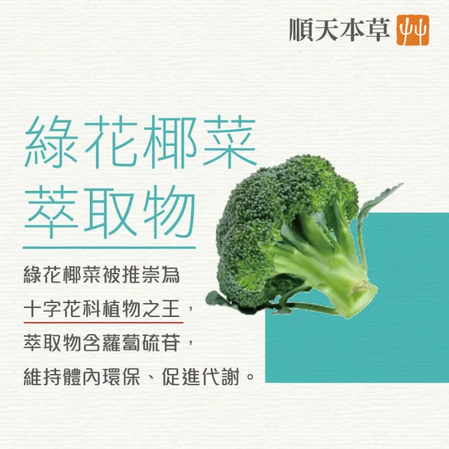 【順天本草】順天本草2.5 魚腥草配方(二盒組 15入/盒X2)