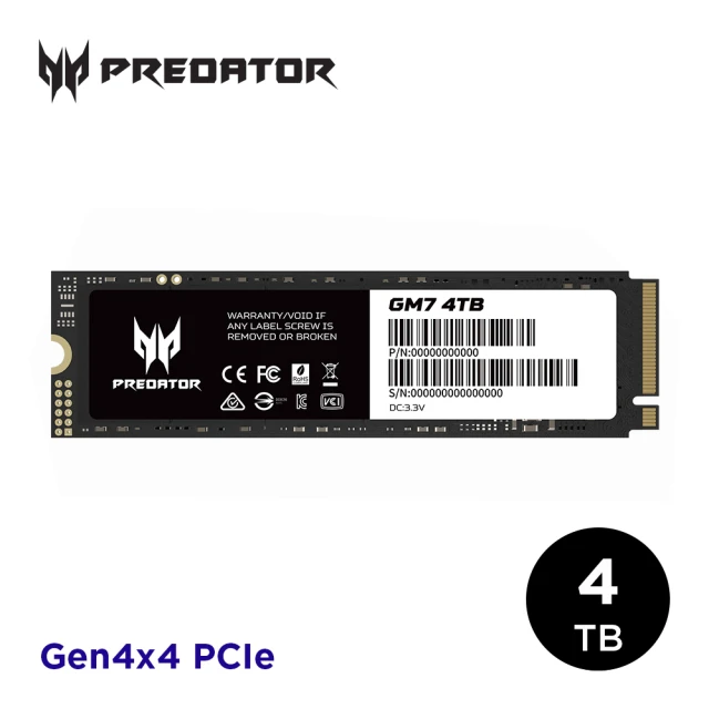 Gigastone 立達國際 GP6450 1TB PCIe