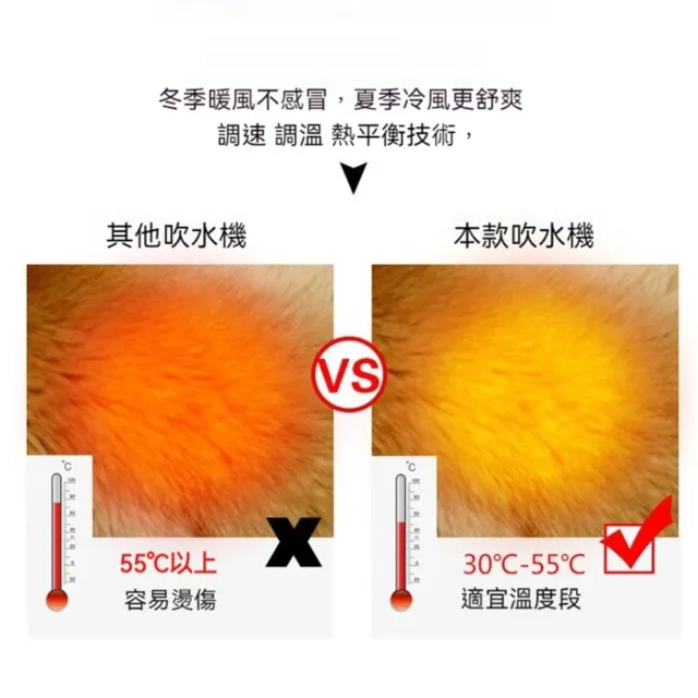 寵物專用吹水機/吹風機-附四種吹頭(狗狗吹毛工具 寵物吹毛 寵物烘乾)