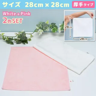【台隆手創館】LEC廚房專用抹布2入(S-121)