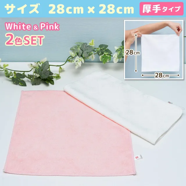 【台隆手創館】LEC廚房專用抹布2入(S-121)