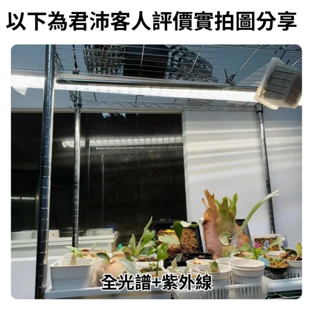 【JIUNPEY 君沛】4呎 50W 全光譜+UV紫外線 防水型LED植物燈管(植物生長燈 三防燈)