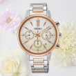 【SEIKO 精工】LUKIA 王淨廣告款 太陽能純潔海芋女錶 520禮物 送禮(SSC920J1/V175-0FC0Y)