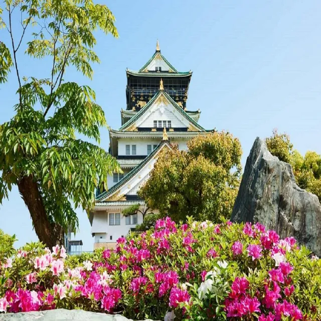 【喜鴻假期】【輕旅漫遊關西５日】日本環球影城、下鴨神社、伏見稻荷、三井OUTLET、黑毛和牛