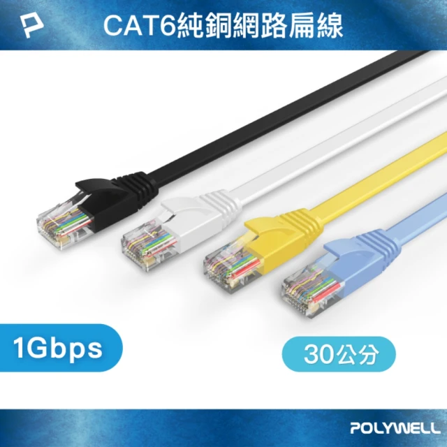 POLYWELL CAT6 高速網路傳輸扁線 /0.3M