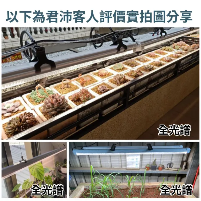 【JIUNPEY 君沛】1入組 4呎 50W全光譜植物燈管 防水型雙燈芯設計(植物生長燈 三防燈)