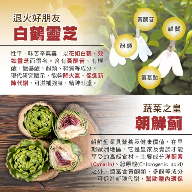 【順天本草】台灣樟芝膠囊升級版  60顆/瓶X2盒組(樟芝子實體X朝鮮薊X白鶴靈芝)