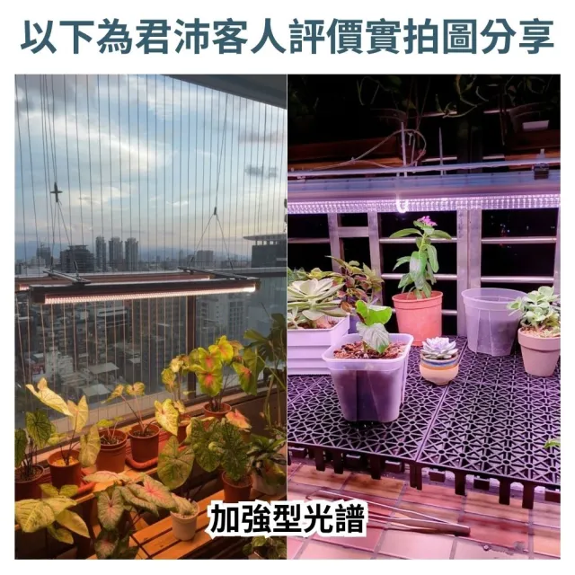 【JIUNPEY 君沛】3呎 40W 加強型光譜植物燈管 防水型雙排燈芯設計(植物生長燈 三防燈)