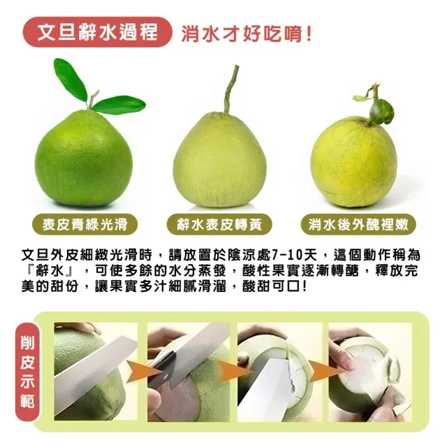 【momo獨家X台南麻豆李天寶】40年麻豆紅文旦10斤x2箱(5-8顆/箱_共20斤_果農直配/產銷履歷/柚子)(中秋禮盒)