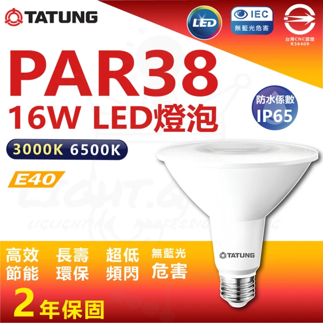 TATUNG 大同 單入 100W LED 鰭片式節能燈泡 