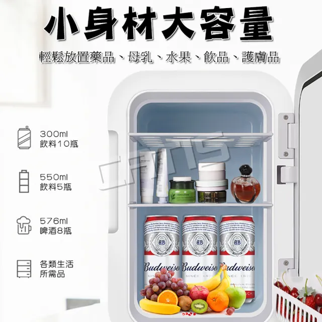 【CATIS】10L車用兩用智能小冰箱 110V行動冰箱 露營小冰箱(可調溫 外宿小資族必備)