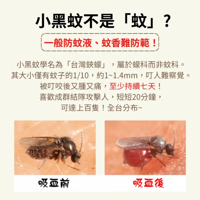 【Mibobebe】買一送一★虎林小黑吻の防蚊噴霧100ml*2入(防小黑蚊 植物精油配方 舒緩防蚊 天然無毒)