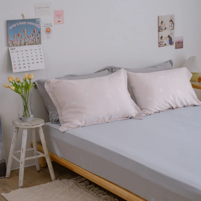 翔仔居家 90/10 頂級法國灰鵝絨枕(1入)折扣推薦