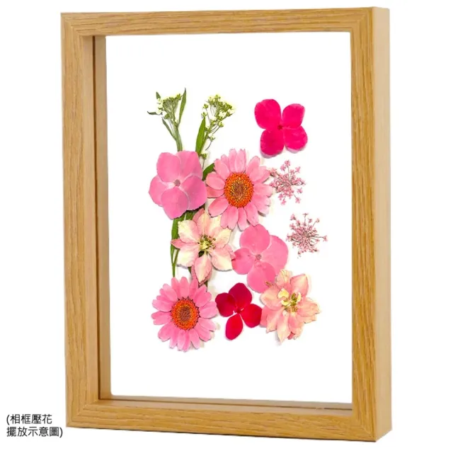 【A-ONE 匯旺】乾燥壓花 押花材料 永生花 植物花卉 手賬手工裝飾 DIY花朵 壓花材料包