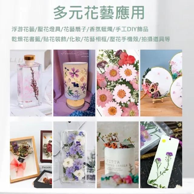 【A-ONE 匯旺】乾燥壓花 押花材料 永生花 植物花卉 手賬手工裝飾 DIY花朵 壓花材料包
