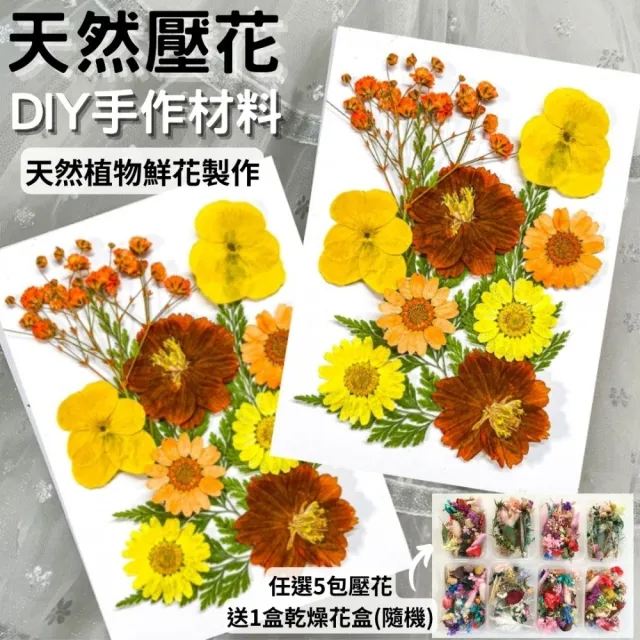【A-ONE 匯旺】壓花材料 乾燥花材料 壓花 押花 手工壓花 植物 壓花DIY 乾花書籤