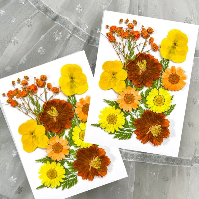 【A-ONE 匯旺】壓花材料 乾燥花材料 壓花 押花 手工壓花 植物 壓花DIY 乾花書籤