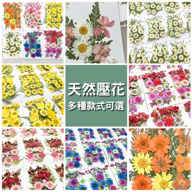 【A-ONE 匯旺】乾燥花材料盒 永生花材料 乾燥花不凋花 香薰蠟燭材料 浮油花 裝飾花 壓花