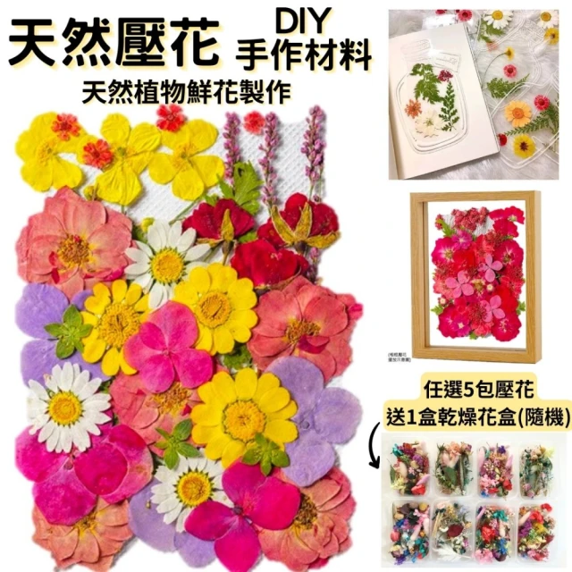 台北花苑 浪漫瑰麗永生花禮(恆星花 永生花 情人 生日送禮)