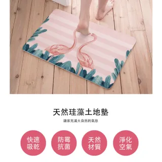 【收納王妃】台灣製造 原創系列 硬式珪藻土地墊 吸水 速乾 腳踏墊 浴室地墊 2入組(約 60x39x0.9cm)