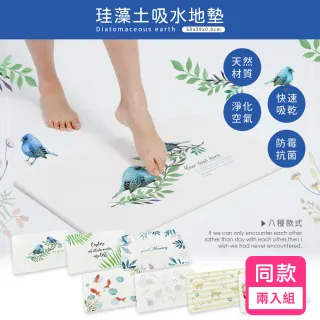 【收納王妃】台灣製造 彩繪系列 硬式珪藻土地墊 吸水 速乾 腳踏墊 浴室地墊 2入組(約 60x39x0.9 cm)