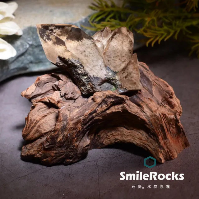 【SmileRocks 石麥】石麥水晶原礦  天然黃水晶帶白幽靈簇No.010500813(鐵梨木木座)