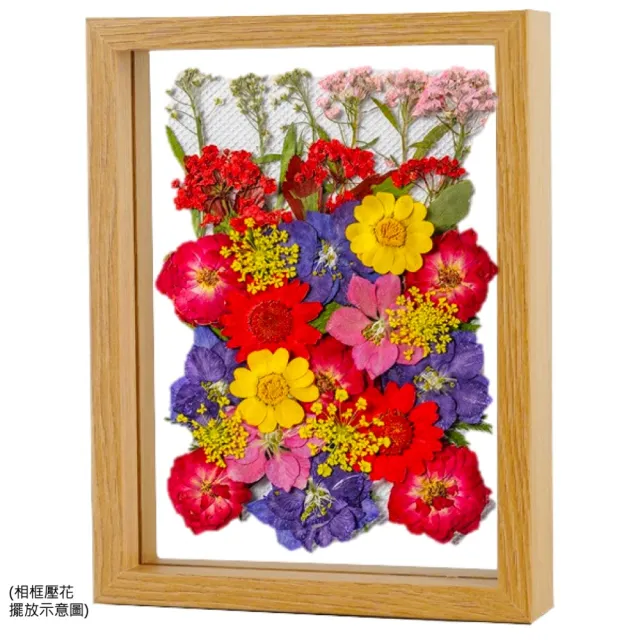 【A-ONE 匯旺】天然壓花 押花書籤 壓花材料包 乾燥花書籤 壓花DIY 樹葉書籤 乾燥花