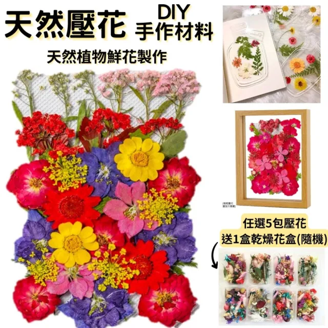 【A-ONE 匯旺】天然壓花 押花書籤 壓花材料包 乾燥花書籤 壓花DIY 樹葉書籤 乾燥花