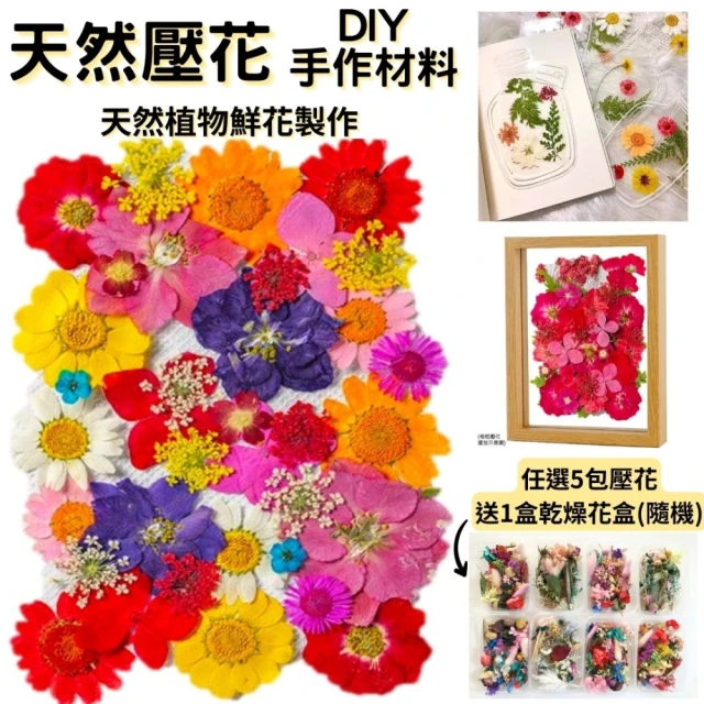 A-ONE 匯旺 精選花材包 壓花 香氛蠟磚 美甲材料 乾燥花材 手作押花 壓花 不凋花 DIY